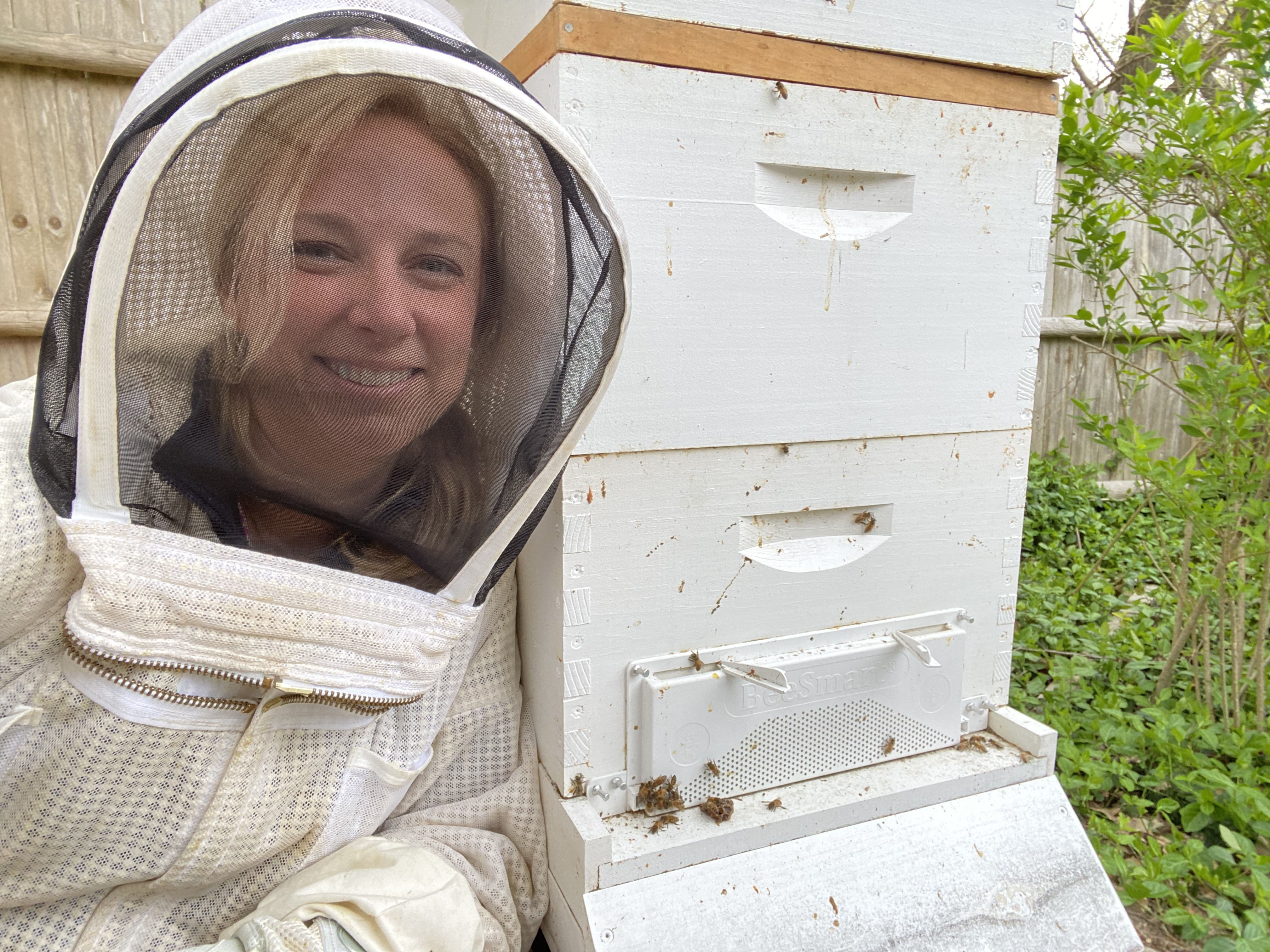 From the Hive: Bees Back in Action! image